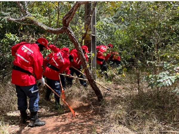 Brigada Municipal do Crato apresenta resultados de 30 dias de atuação