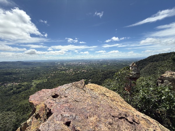 Crato realiza retirada preventiva de árvores mortas que apresentam risco à população